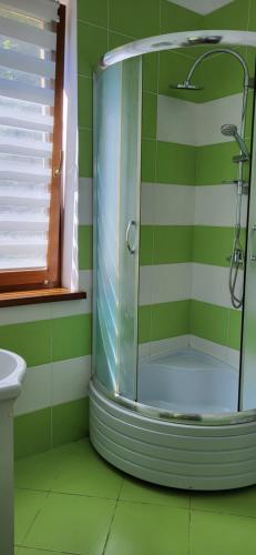 uma casa de banho verde com um chuveiro e uma porta de vidro em Kwatery Prywatne Beata em Darłowo