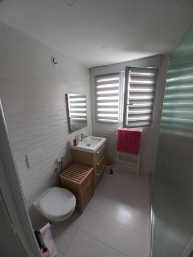 La salle de bains est pourvue de toilettes, d'un lavabo et d'une fenêtre. dans l'établissement Magnifique maison à 5 mns du circuit des 24h à pieds, au Mans