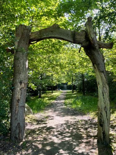 an arch in a tree on a dirt road at Luxus Lindenhof Apartments in Zetel