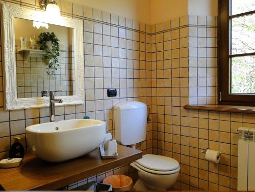 a bathroom with a sink and a toilet at Agriturismo La Locanda del Cardinale in Poggio