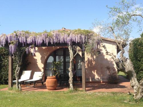 a house with a bunch of wisteria on the roof at Fattoria Cirene in Follonica