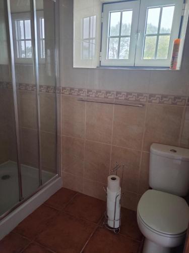 a bathroom with a toilet and a shower at Casa dos Avós 2 in São Roque do Pico