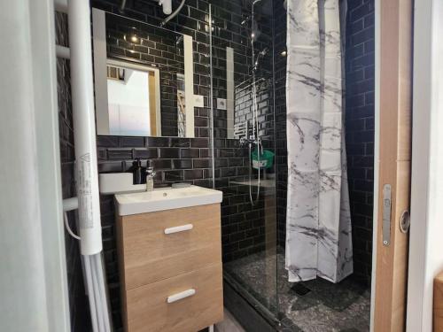 La salle de bains en noir et blanc est pourvue d'un lavabo et d'une douche. dans l'établissement Le panier de papet,central, proche plage catalan,tres calme,vue, à Marseille