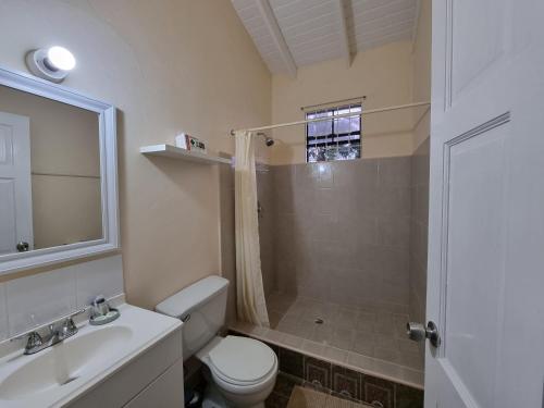 ein Bad mit einer Dusche, einem WC und einem Waschbecken in der Unterkunft Coastal View 7 Apartments in Christchurch