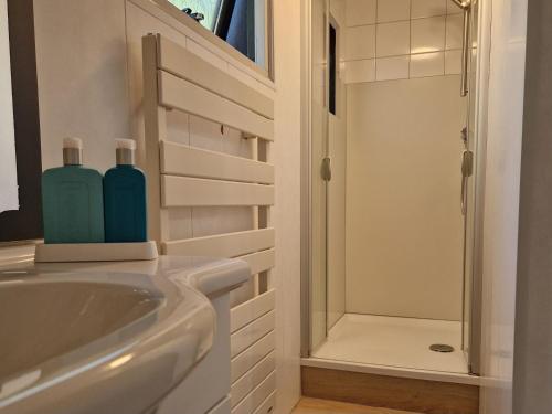 La salle de bains est pourvue d'un lavabo et d'une douche. dans l'établissement Heerlijk Huisje in het bos op Chaletpark Kempenbos, à Diessen