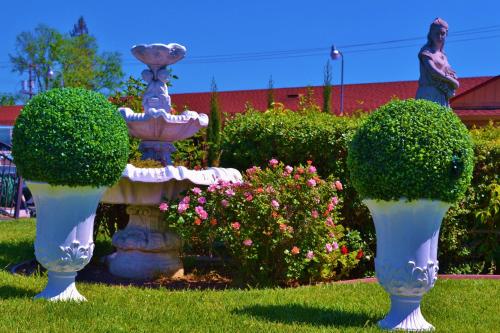 Gallery image of Chardonnay Lodge in Napa