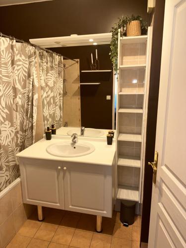 a bathroom with a sink and a mirror at Superbe appartement tout équipé avec parking. in Marseille
