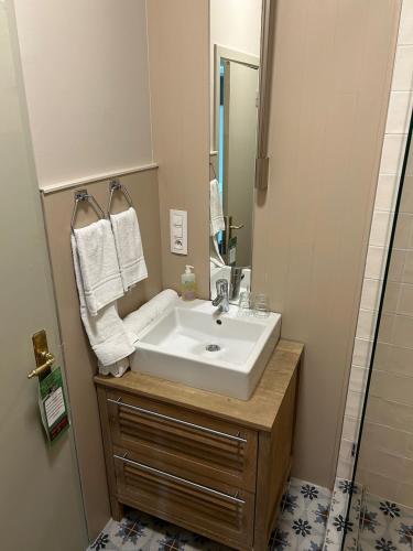 a bathroom with a sink and a mirror at Hotel Salvators in Bruges
