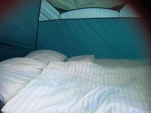ein unmaskiertes Bett in einem Zimmer mit blauer Wand in der Unterkunft Peace & Quiet in Sławoborze
