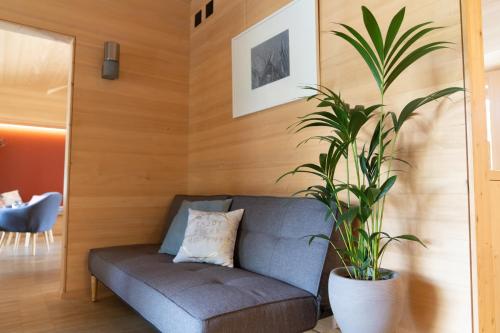 a living room with a couch and a potted plant at Naturfreunde Hostel Grindelwald in Grindelwald