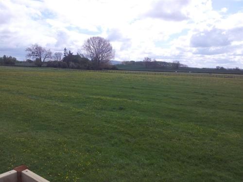 a field of green grass with trees in the distance at Shepherds Lodge in Upton upon Severn