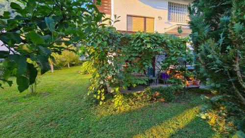 a house with a bunch of plants growing on it at Apartment Ajdna in Žirovnica