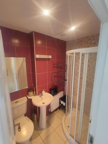 a bathroom with a toilet and a sink and a shower at Modern City Centre House in Heart of Galway City in Galway