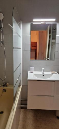 uma casa de banho com um lavatório e um espelho em Appartement Saint Lary - pla d'adet - aux pieds des pistes em Saint-Lary-Soulan