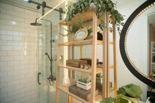 baño con estante con plantas y espejo en Cozy country retreat in fashionable Roma, en Ciudad de México