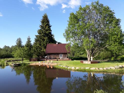 una cabaña junto a un lago con un árbol en Supa talu kodumajutus 100 a vanuses aidas - avatud suvehooajal - open in summer 