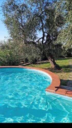 case passione Romeo – Photos 2