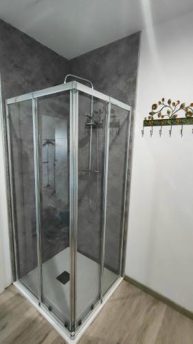 a glass shower in a corner of a room at Apartamentos NayDa N4 de 2 habitaciones in Mérida