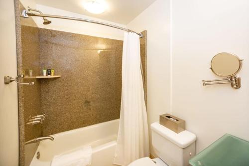 La salle de bains est pourvue d'un rideau de douche et de toilettes. dans l'établissement Charming Durham Studio Steps Away from Duke, à Durham