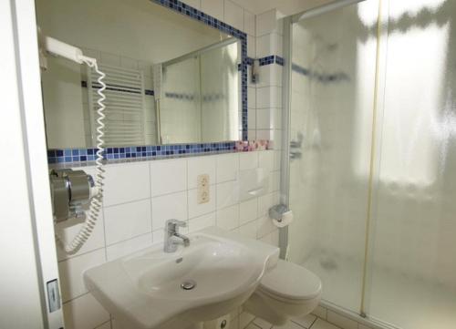 ヴァンガーオーゲにあるFerienwohnung 7 Rosenzweigのバスルーム(洗面台、トイレ、シャワー付)