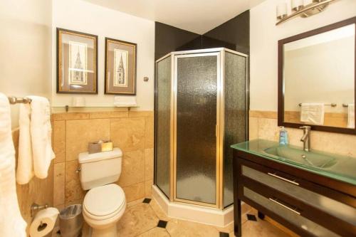 La salle de bains est pourvue d'une douche, de toilettes et d'un lavabo. dans l'établissement Cute Studio in Durham, 5 min to Downtown, à Durham