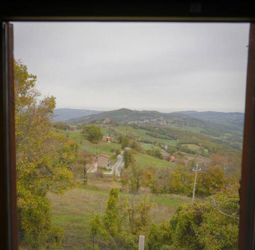 a view from a window of a field with trees at LamaDue - Casa Vacanze in Borra