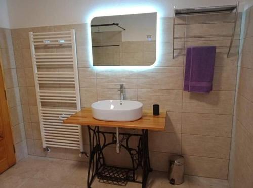 La salle de bains est pourvue d'un lavabo et d'un miroir. dans l'établissement Casa Iulia & Matei, à Cârţişoara
