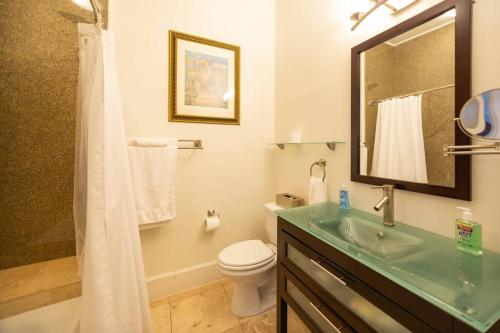 a bathroom with a sink and a toilet and a shower at Relaxed Studio close to Duke & Downtown Durham in Durham