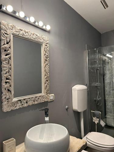 a bathroom with a toilet and a mirror and a shower at Casa Blanche in Fanano