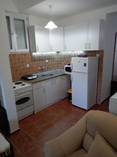 Una cocina o zona de cocina en Apartment Jankovic
