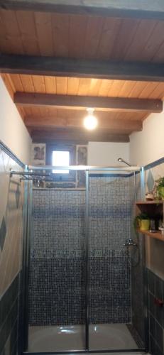 a shower with a glass door in a bathroom at La Casona de Candamín in Candamo