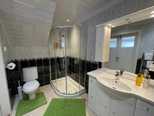 a bathroom with a shower and a toilet and a sink at Blackburn Villa B&B in Ayr