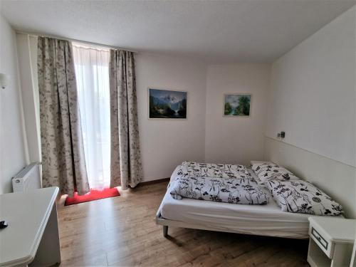 a bedroom with a bed and a large window at Plaza in Kreuzlingen