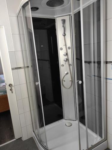 a shower with a glass door in a bathroom at Grossvaters Haus - Oba's Heisle in Lauingen