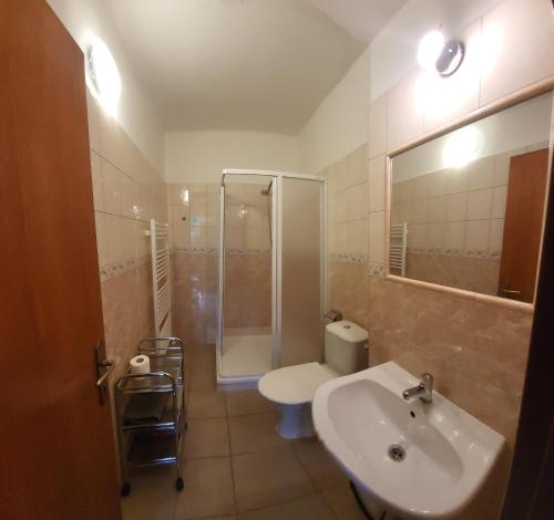 a bathroom with a sink and a toilet and a shower at Pension Salma in Cerny Dul