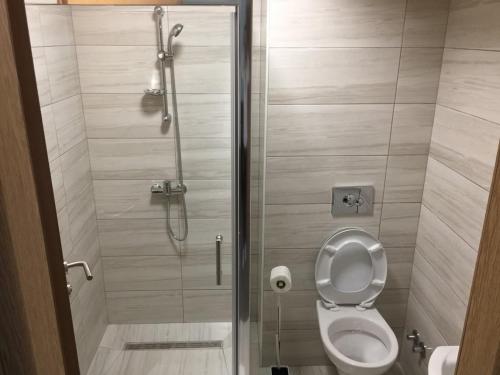 een badkamer met een toilet en een glazen douchecabine bij Malena in Goražde