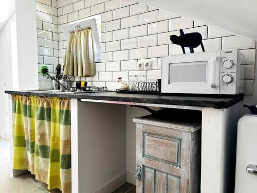 una cocina con microondas y un gato negro sentado en un mostrador en El puente de lata 2, en Granada
