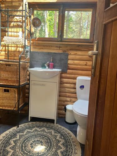 a bathroom with a toilet and a sink at Urocza chatka w lesie nad wodą in Skubianka