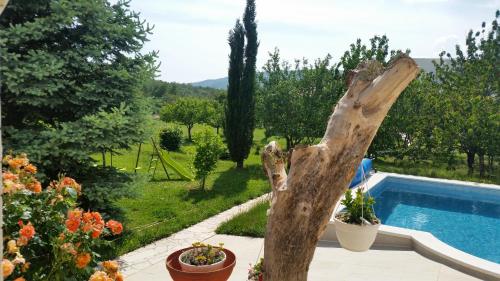 a garden with a tree trunk next to a swimming pool at Almas in Neorić
