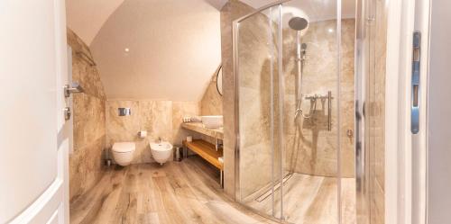 a bathroom with a shower and a toilet at Joe in Čilipi