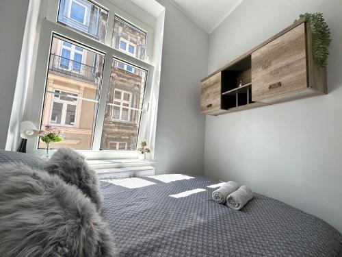 a bedroom with a bed and a large window at MMRent Wild Room in Gdańsk