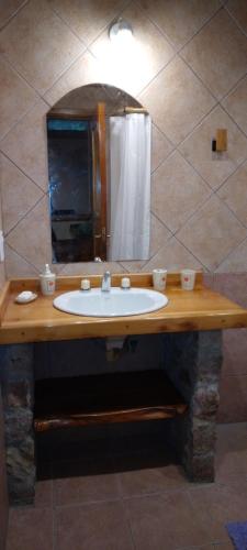 a bathroom with a sink and a mirror at El viaje 2 in San Carlos de Bariloche