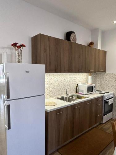 a kitchen with a white refrigerator and a sink at Nikolas House - ΤΟ ΣΠΙΤΙ ΤΟΥ ΝΙΚΟΛΑ in Archea Pissa