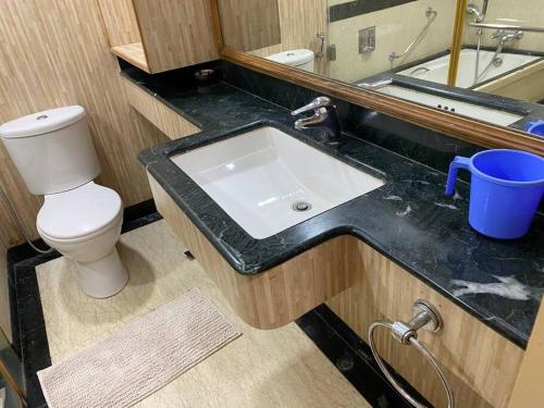 uma casa de banho com um lavatório, um WC e um espelho. em 1BHK Luxury Homestay In Betalbatim, South Goa em Marmagao