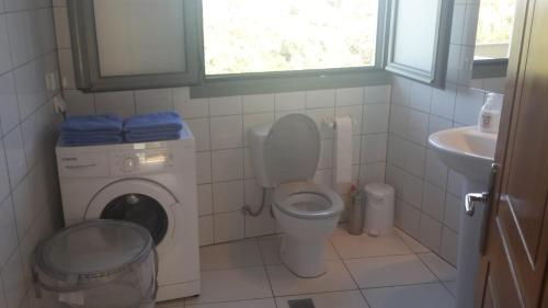 een kleine badkamer met een toilet en een wastafel bij Eleni's Apartments in Agios Nikolaos