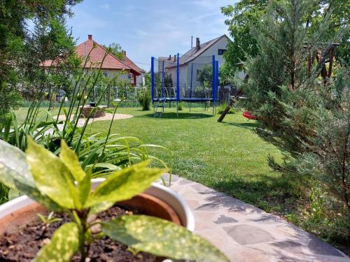 a potted plant in a yard with a playground at Tulipán Vendégház in Sárospatak