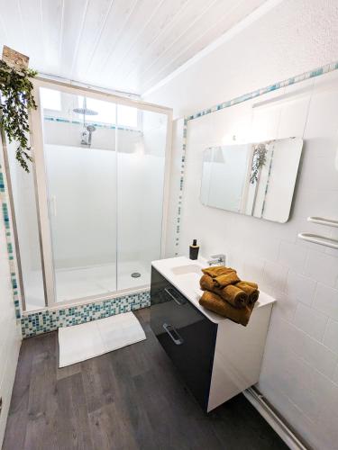 une salle de bain avec un lavabo et une douche dans l'établissement Appartement Le Fort 2 Vue Montagne, à Villefranche-de-Conflent