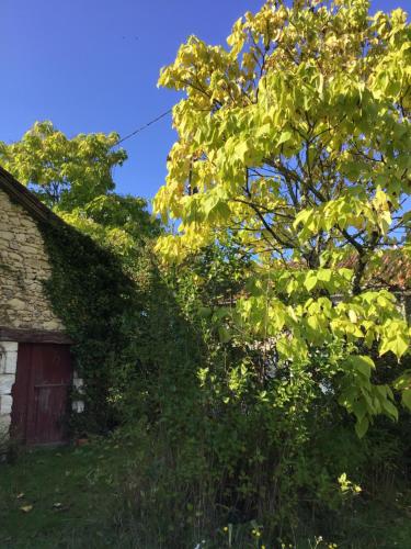 un arbre recouvert de lierre à côté d'une maison dans l'établissement LA GRANGE DU CHAPELAT, à Bourdeilles