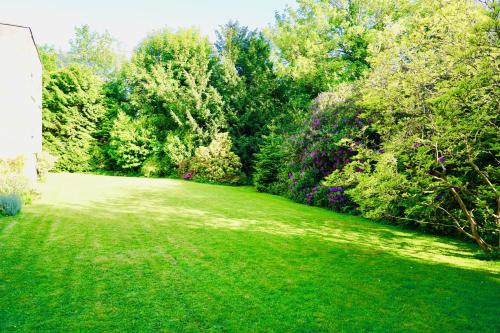 een groene tuin met bomen en een grasveld bij Super-Quiet Town Centre Flat 5 min Walk to Station in Royal Tunbridge Wells