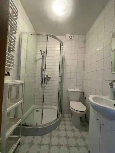 a bathroom with a shower and a toilet and a sink at Na Radomskiej in Kołobrzeg